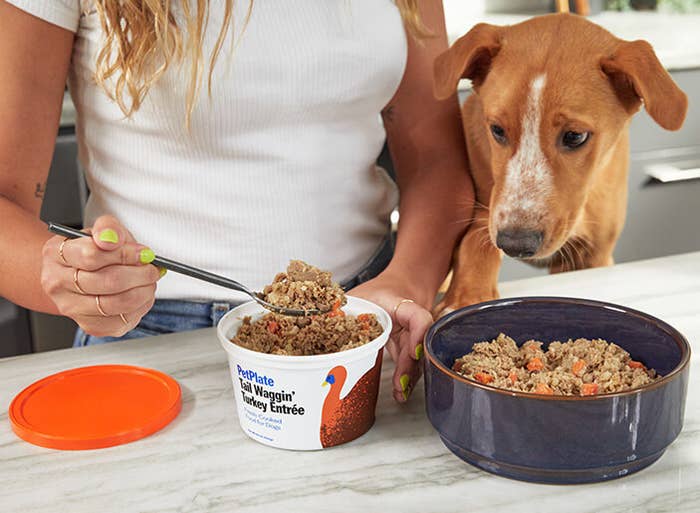 a model scooping food out of a PetPlate container into a dog bowl while their dog watches