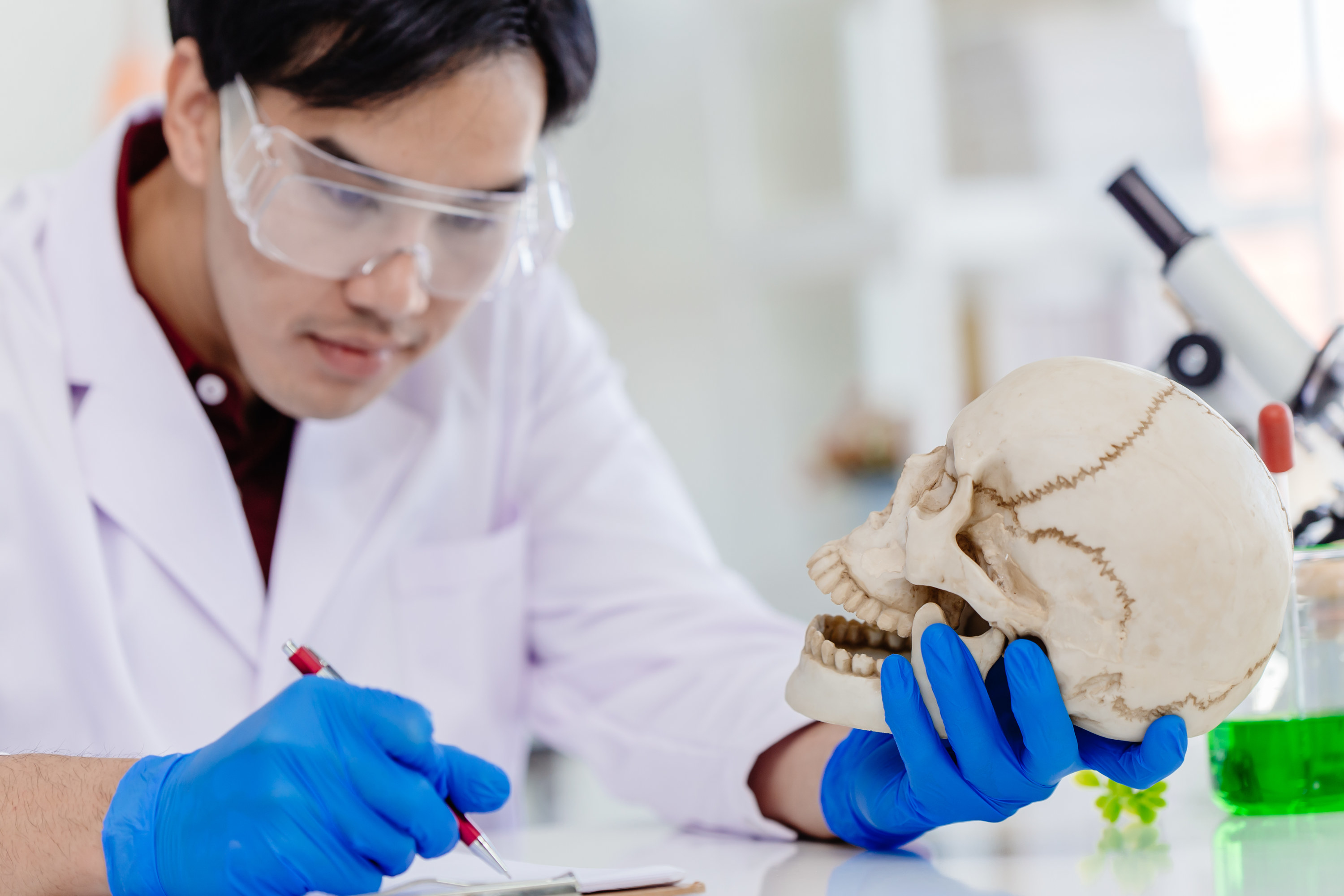 Person looking at a skull in a lab