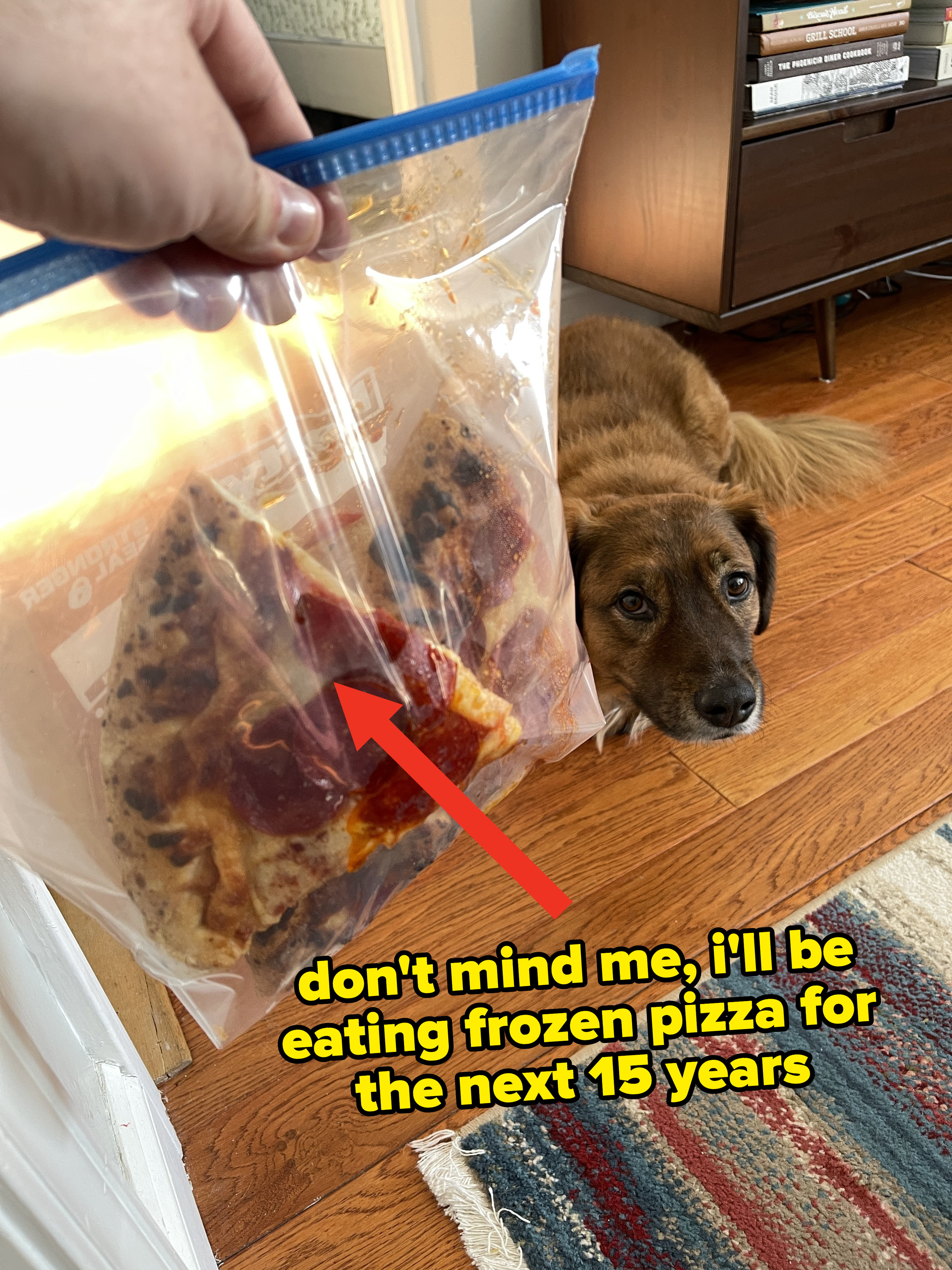 Author holding a bag of frozen pizza in front of his dog with the caption &quot;don&#x27;t mind me, i&#x27;ll be eating frozen pizza for the next 15 years&quot;