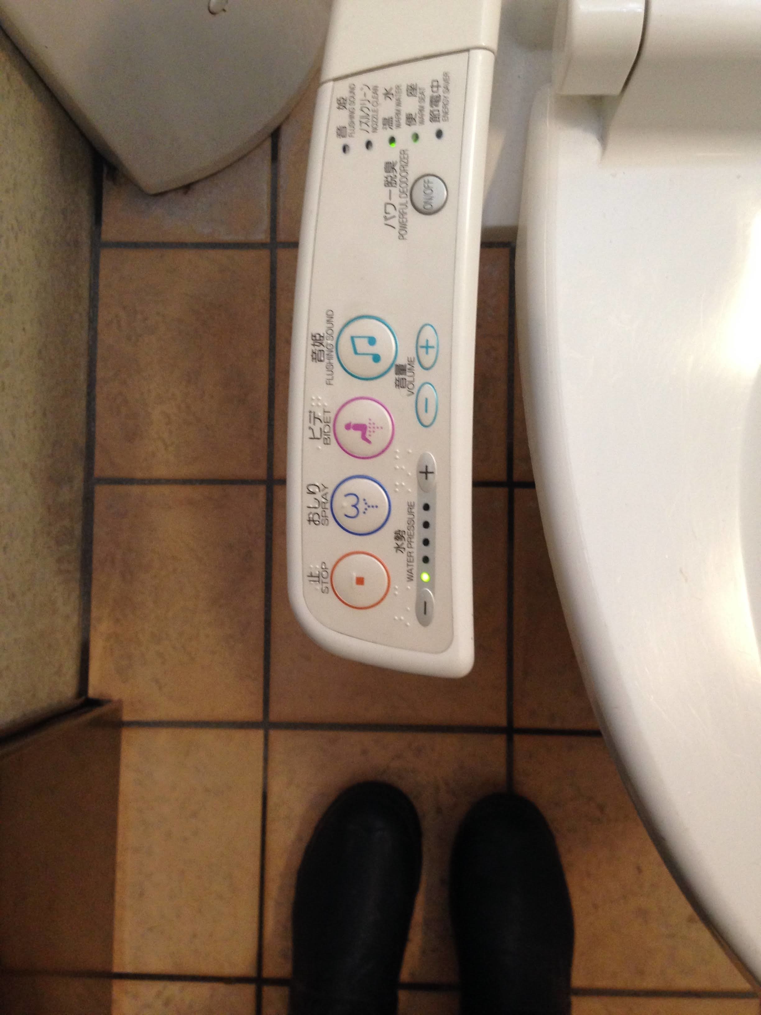 Control panel for a Japanese toilet