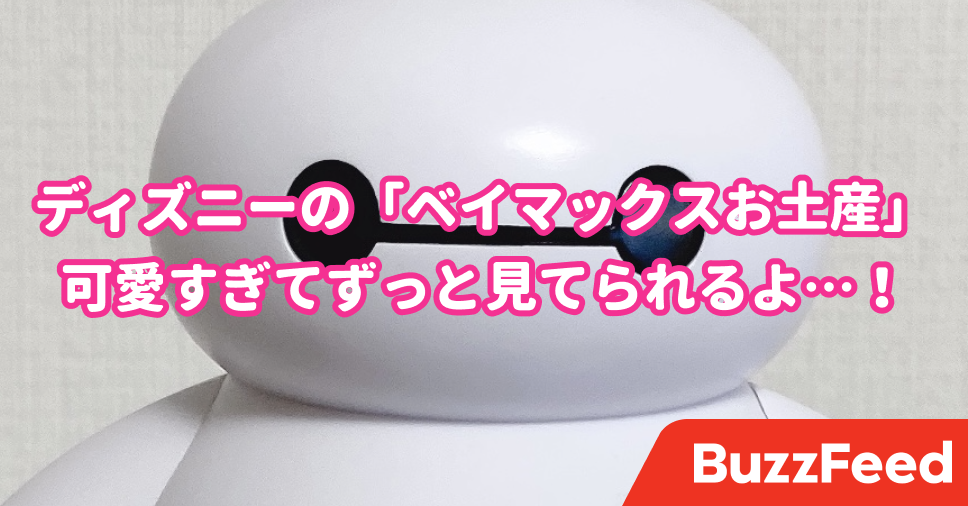 ディズニーお土産の正解見つけちゃったわ 可愛すぎてずっと見てられる