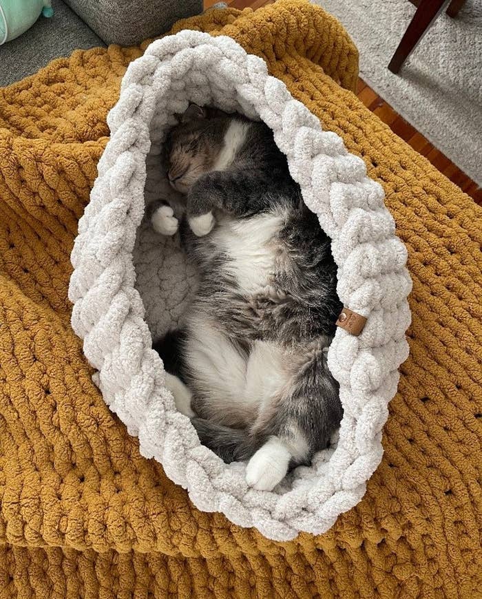 A cat is sleeping belly up inside an oatmeal colored hand knit pet bed