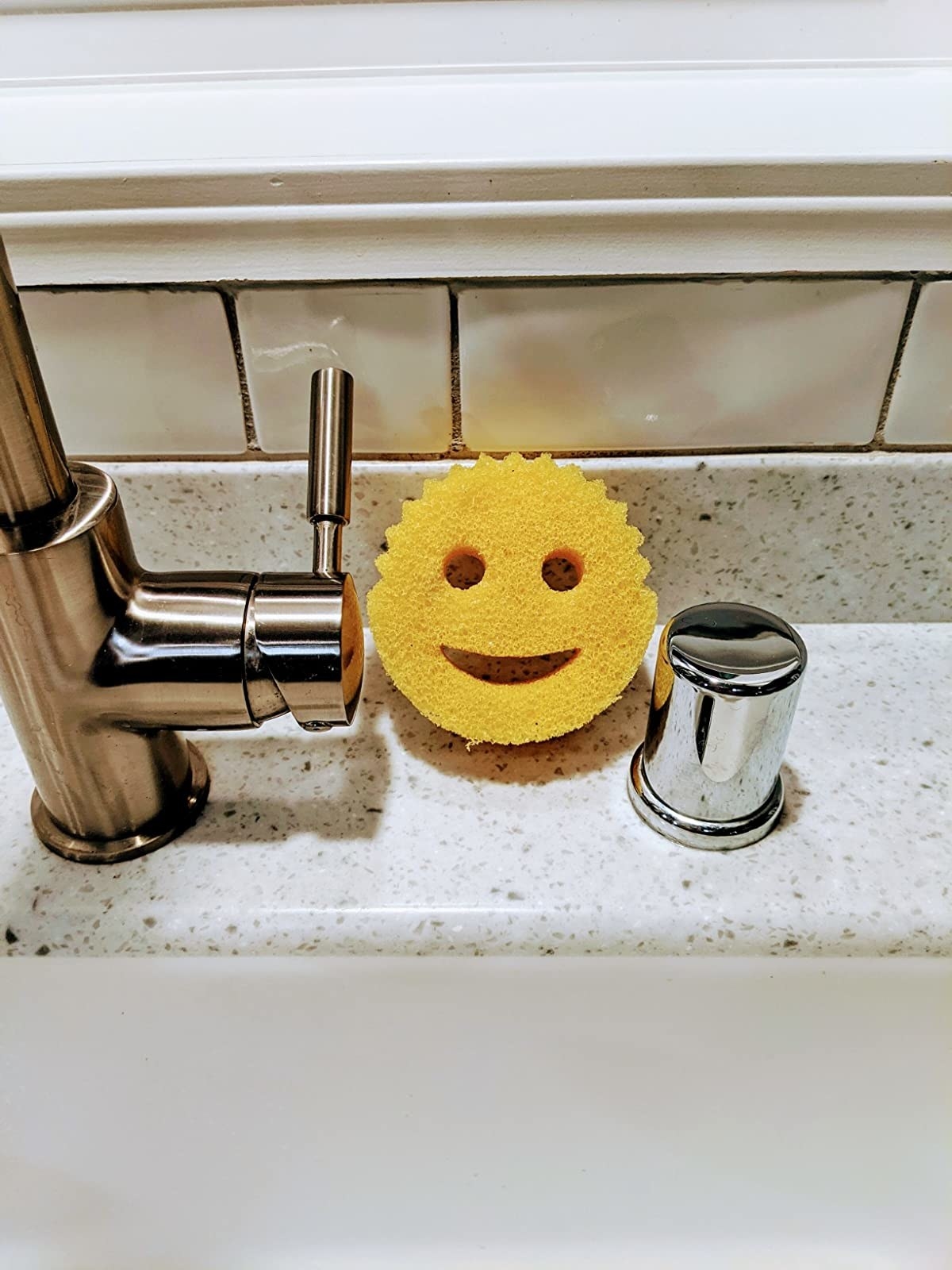 Reviewer&#x27;s Scrub Buddy placed on sink