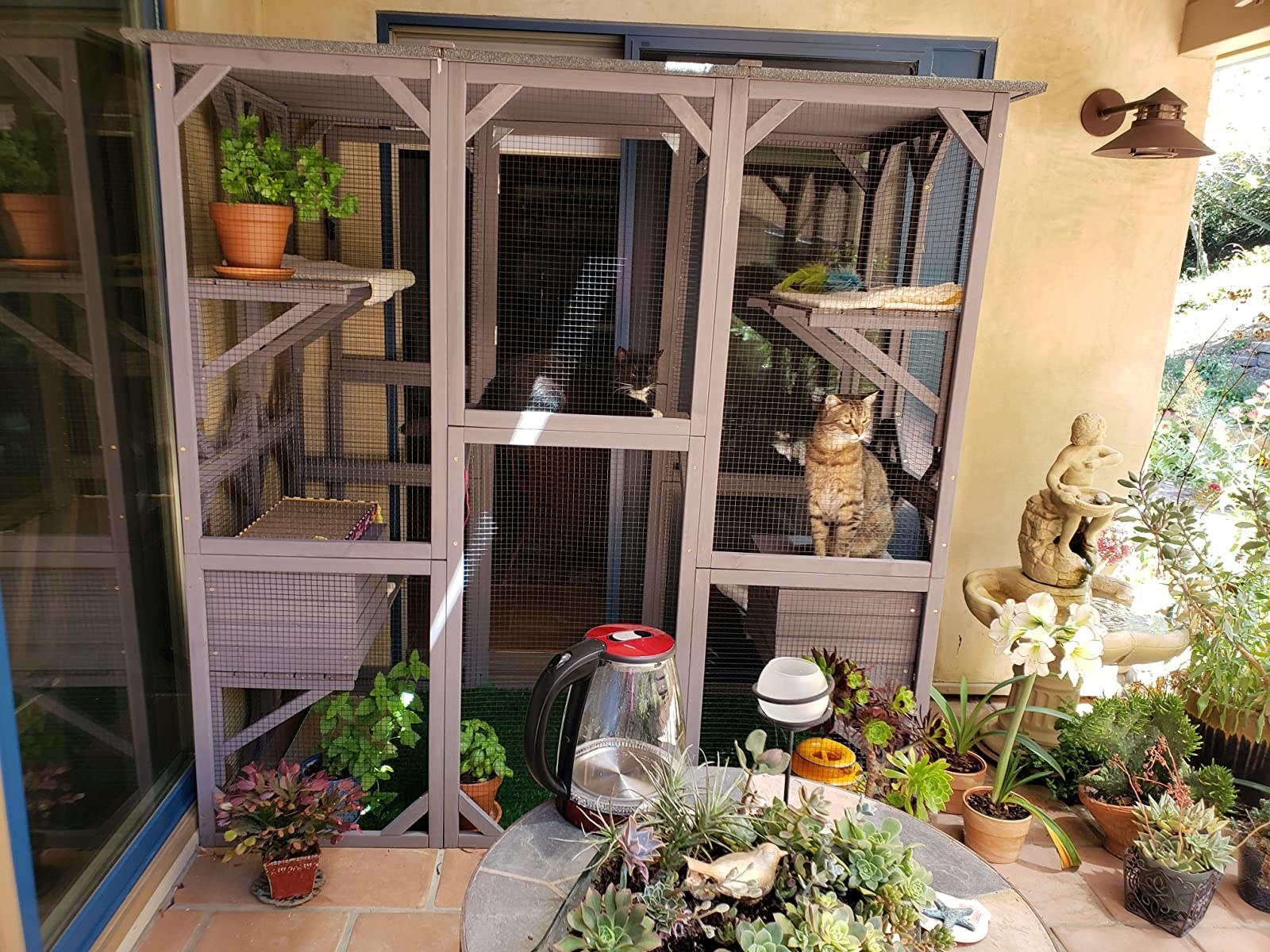 a reviewer&#x27;s photo of their outdoor catio, with various plants arranged around it and multiple cats hanging out on the perches