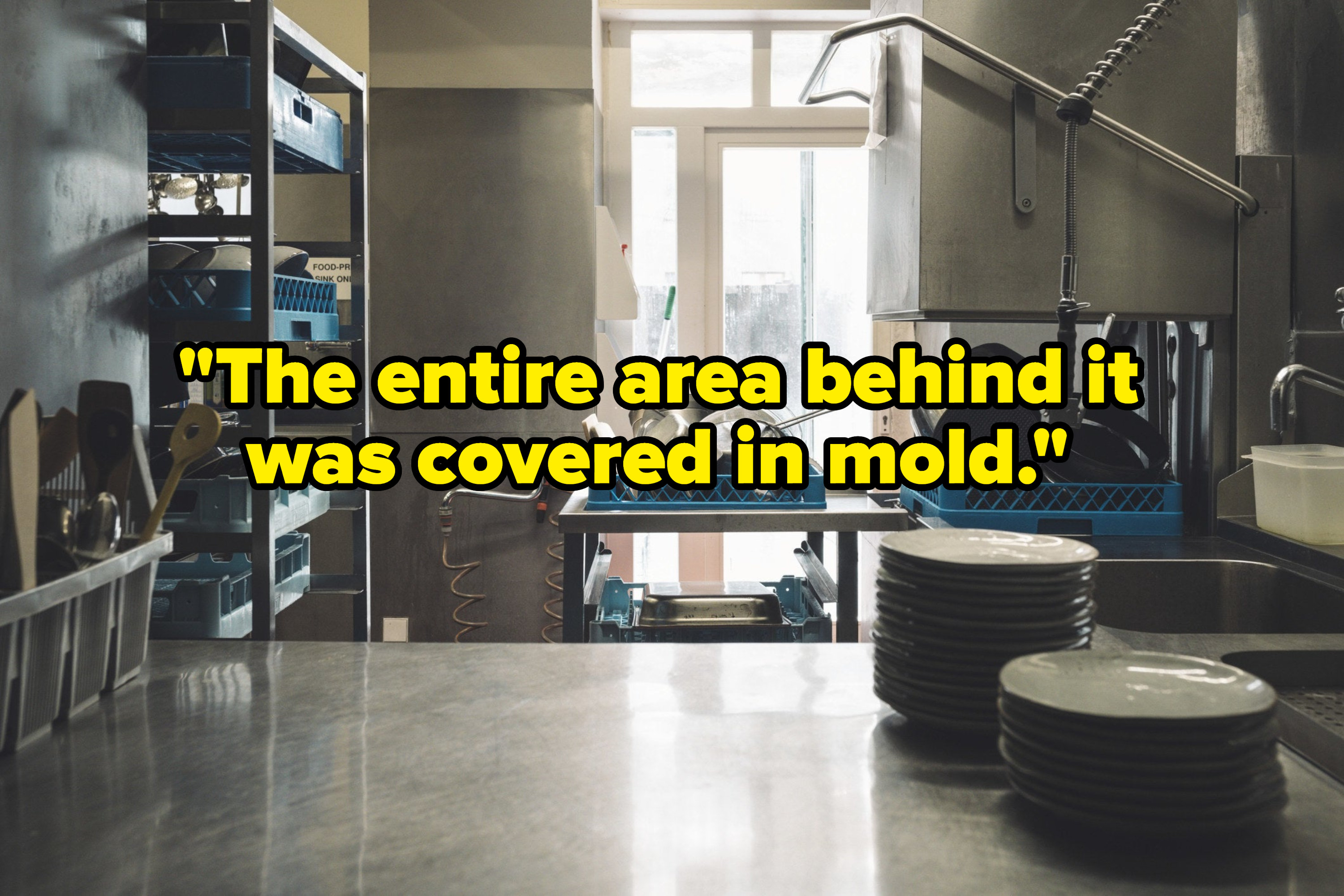 &quot;the entire area behind it was covered in mold&quot; over a kitchen