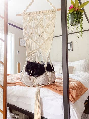 reviewer's cat inside hanging bed