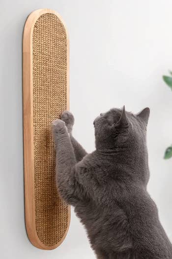 cat using the wall-mounted scratching post