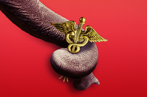 Republicans Are Making It Easier For Doctors To Prescribe Shady COVID Treatments
