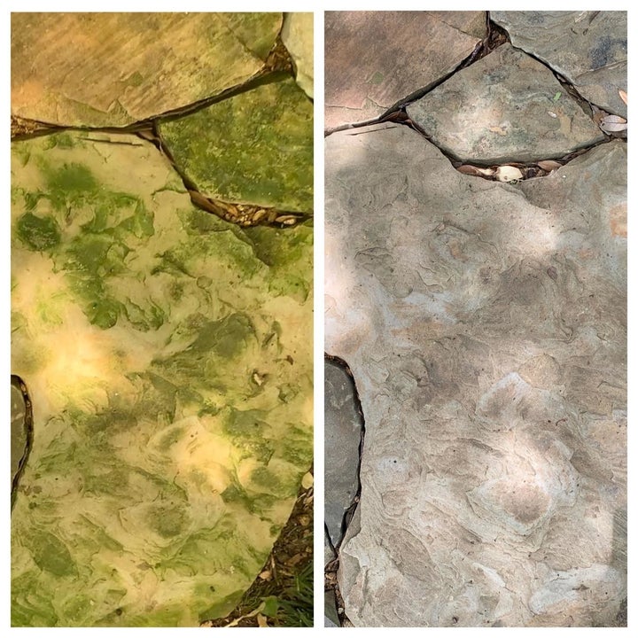 reviewer before and after showing a mold covered stone patio next to one that's mold-free after being sprayed with the cleaner