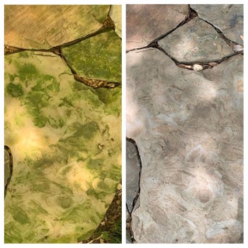 reviewer before and after showing a mold covered stone patio next to one that's mold-free after being sprayed with the cleaner