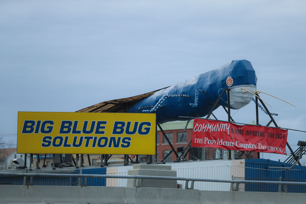 the giant blue bug himself