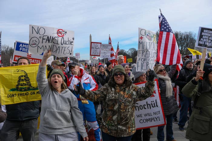 Anti-vaxxers with signs and flags at the rally