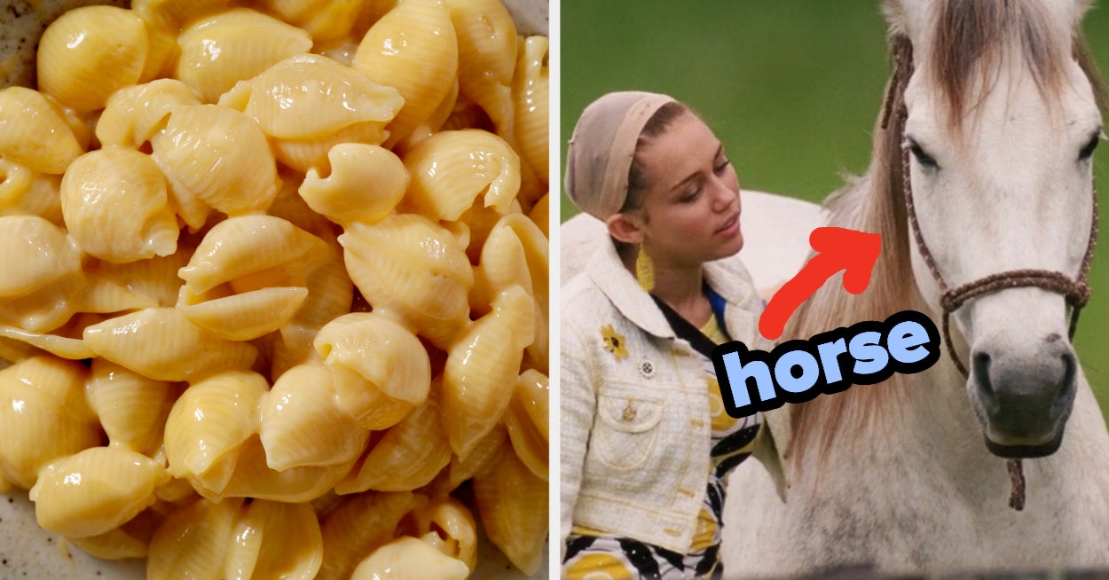 Eat Cheesy Foods To Reveal Inner Farm Animal Quiz