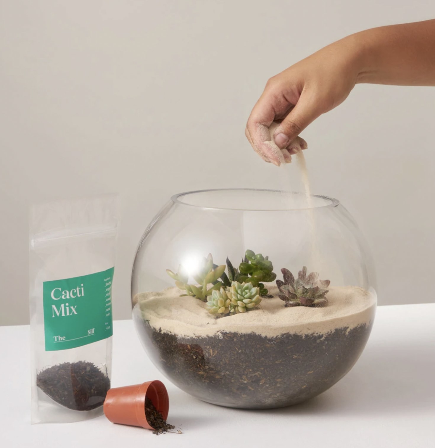 a person pouring sand over their terranium