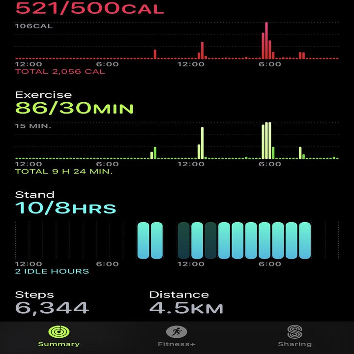 Alice's stats displayed on her phone screen