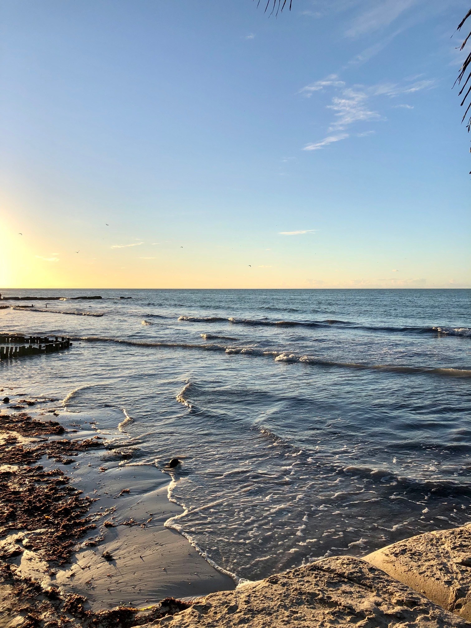 Beach in Holbox