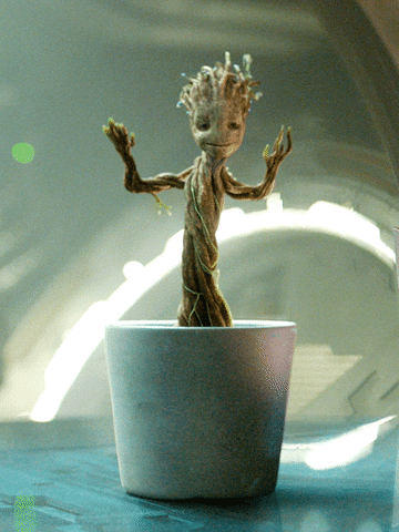 Gif of Groot dancing in a pot
