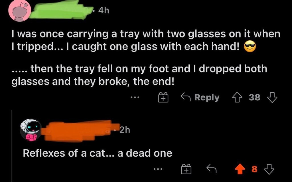 person getting told they have the reflexes of a cat aa dead one that is