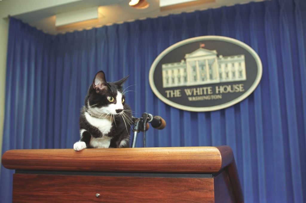 Socks chilling on top of the podium in the White House podium