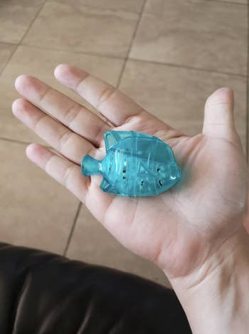 reviewer holding fish in palm of hand
