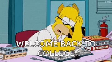 Homer from Simpsons saying,