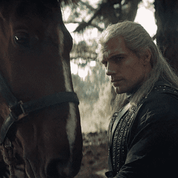 Roach the horse bumping into Geralt of Rivia