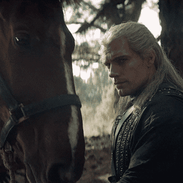 Roach the horse bumping into Geralt of Rivia