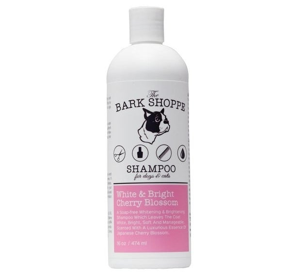 the shampoo bottle