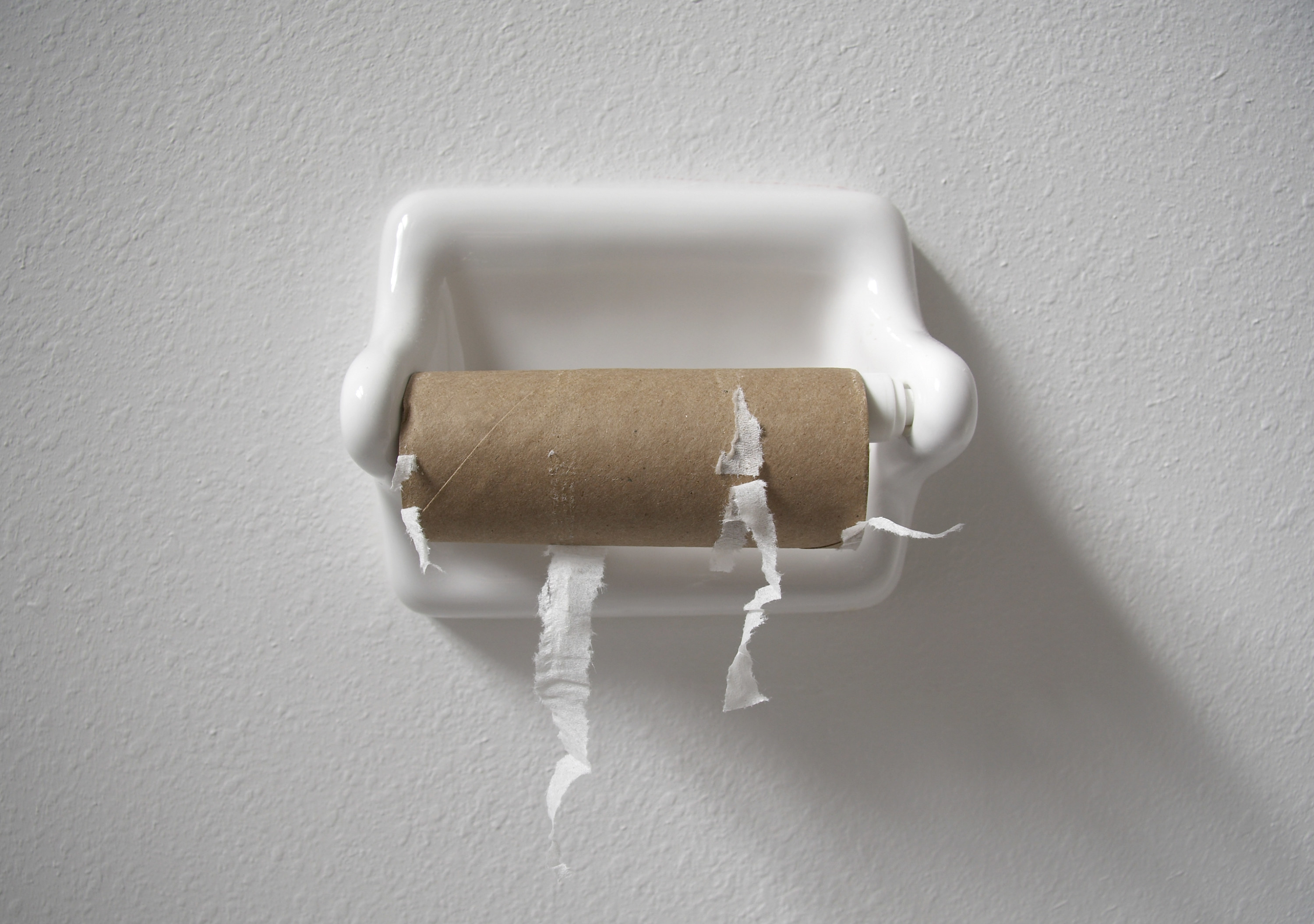 An empty toilet paper roll. 
