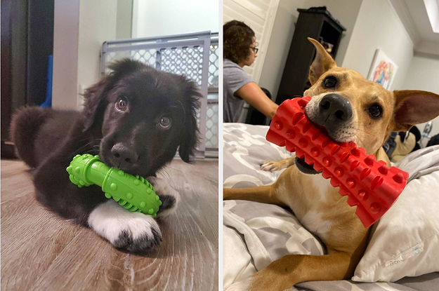 15 Of The Best Chew Toys For Puppies To Love To Use Their
Teeth
