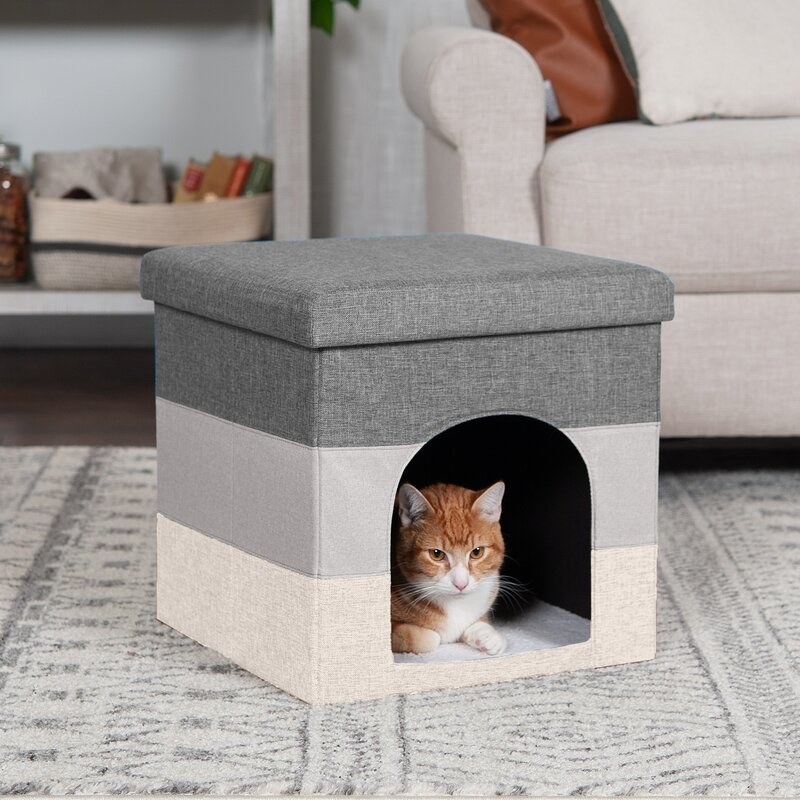 Small foot ottoman dog house with cat laying inside