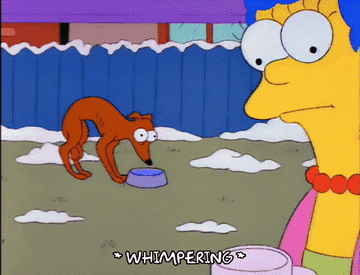 The dog from the simpsons whimpers and drinks from a bowl of water