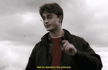 Harry miming the spider Aragogs pincers at his funeral, saying &quot;not to mention the pincers.&quot;