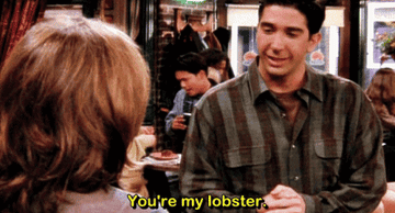 Ross telling Rachel that she&#x27;s his lobster in the middle of the coffee shop