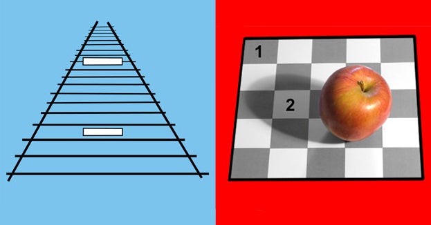 Black and white optical illusion sweeping web reveals where your