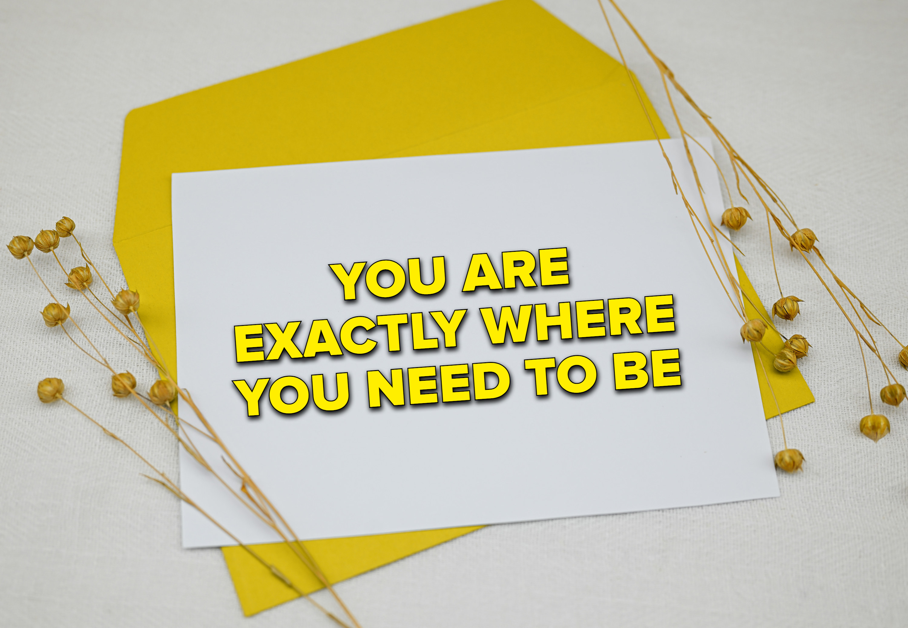 A postcard surrounded by yellow flowers that reads &quot;you are exactly where you need to be&quot;