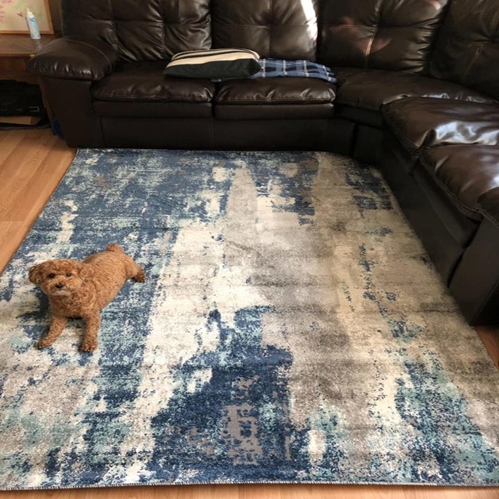 25 Best Places To Buy Cheap Rugs Your Floor Will Love