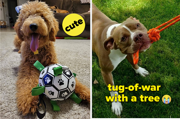 31 Of The Best Interactive Dog Toys To Keep Your Doggo Busy
While You Rest