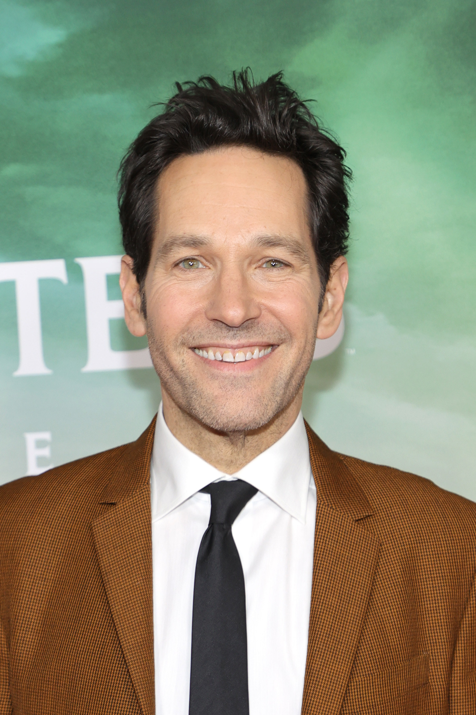 Paul Rudd smiles on the red carpet at the ghostbusters premiere in a suit