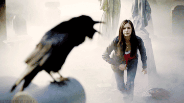 Elena shooing a crow away from a gravestone