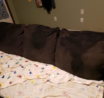 the couch wet with cleaner and the poo gone