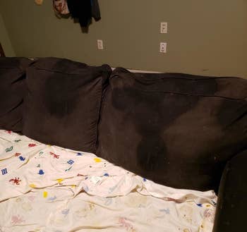 the couch wet with cleaner and the poo gone