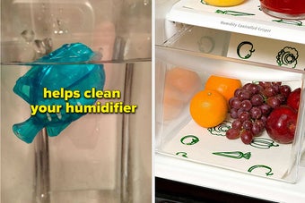 fish shaped filter for humidifier tank, fridge crisper drawer with liner in it