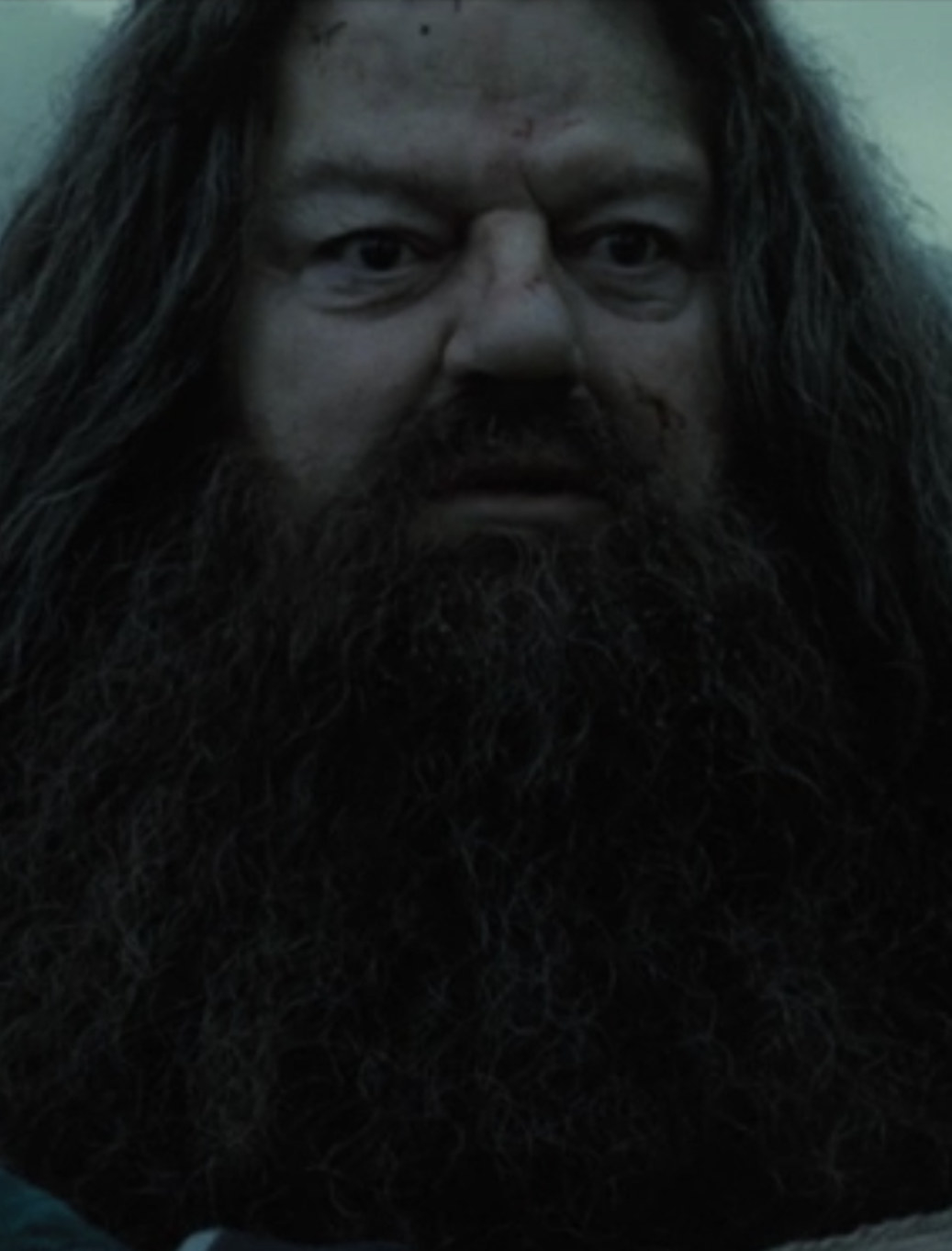 Hagrid carrying a &quot;dead&quot; Harry Potter