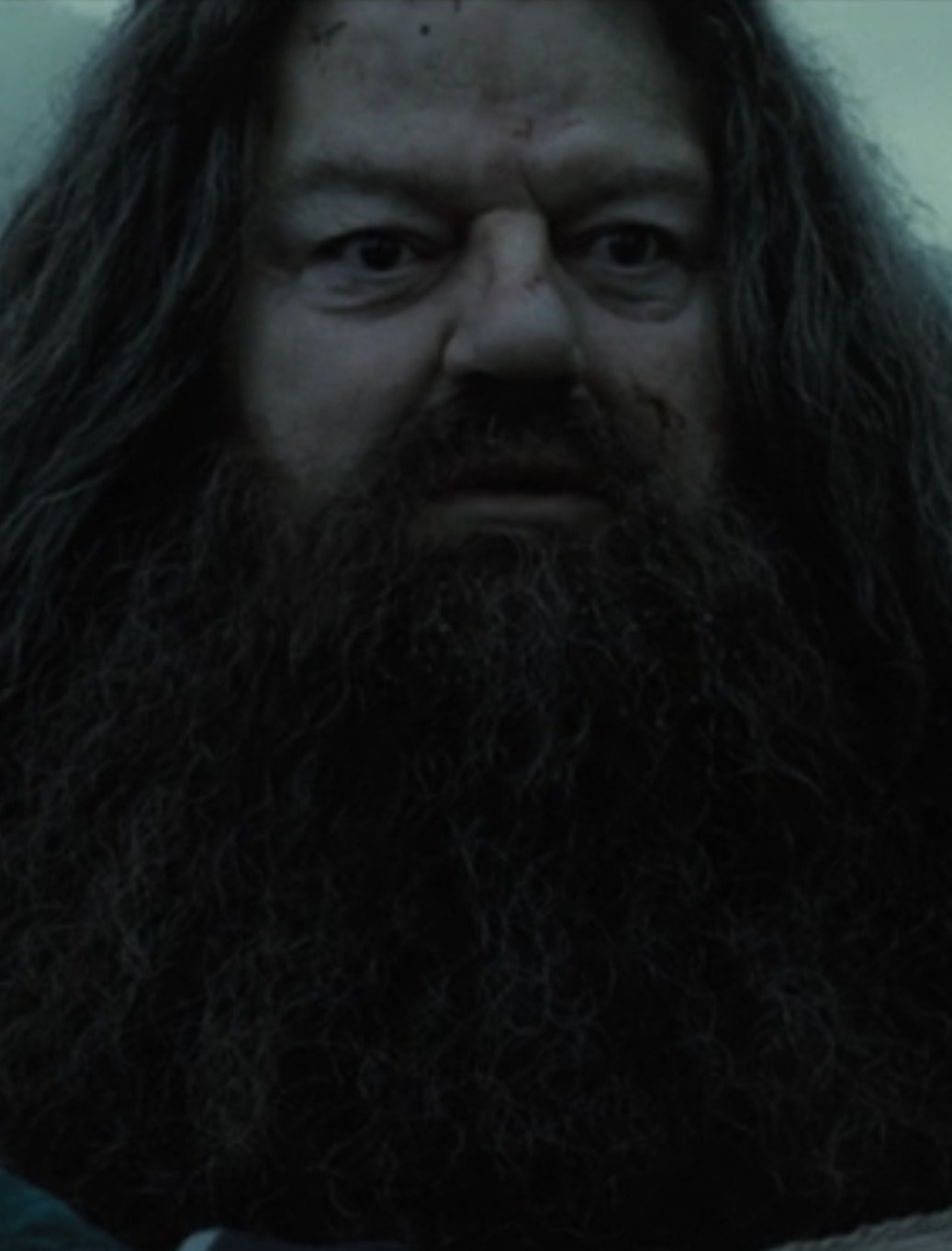 Hagrid carrying a "dead" Harry Potter