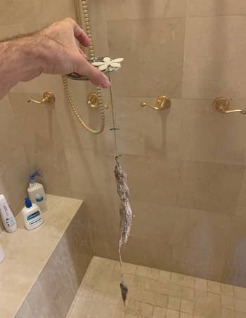 A customer review photo showing all the hair they pulled out with the Drainwig