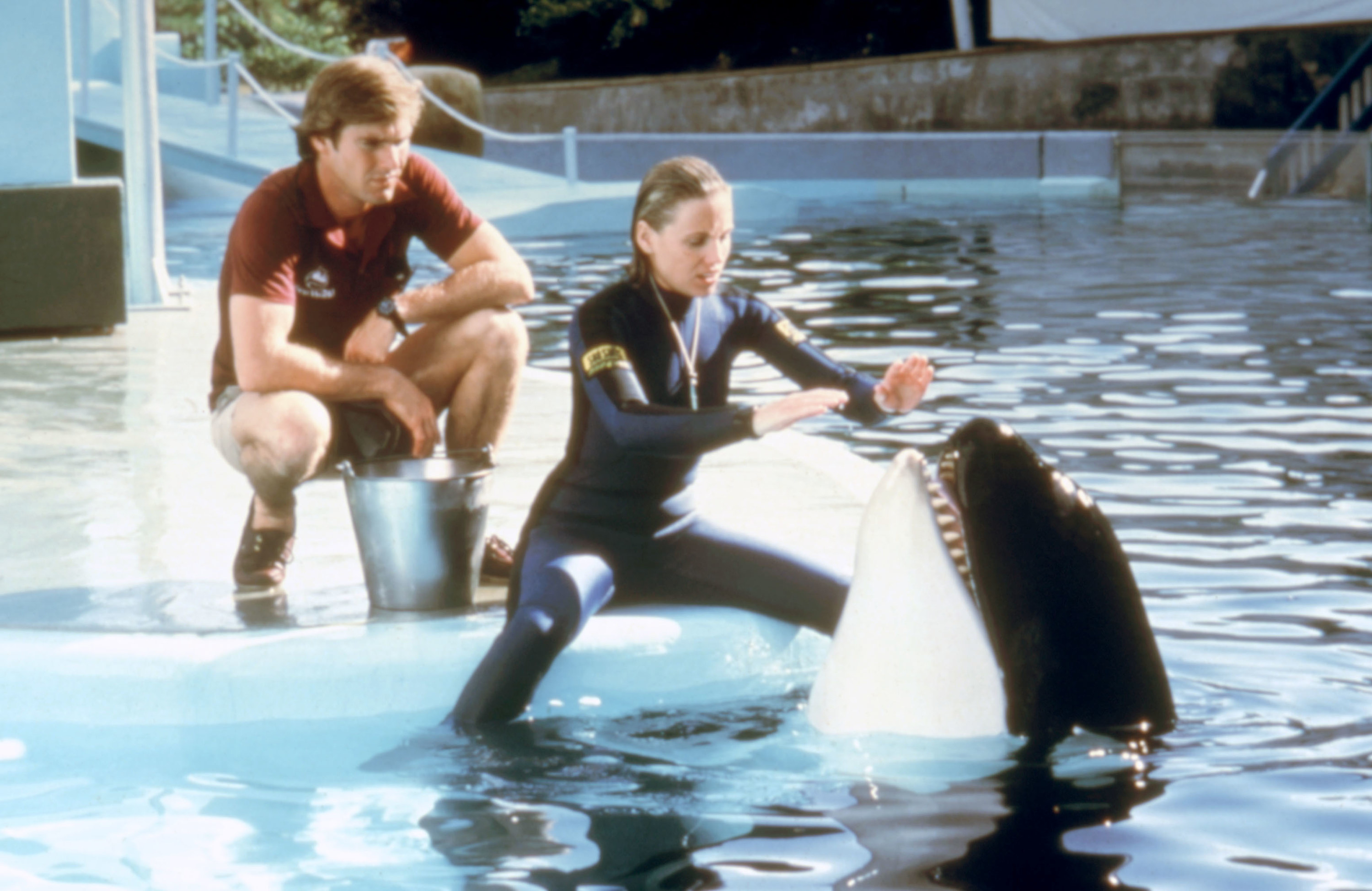 Kathryn and Mike training an orca in the film