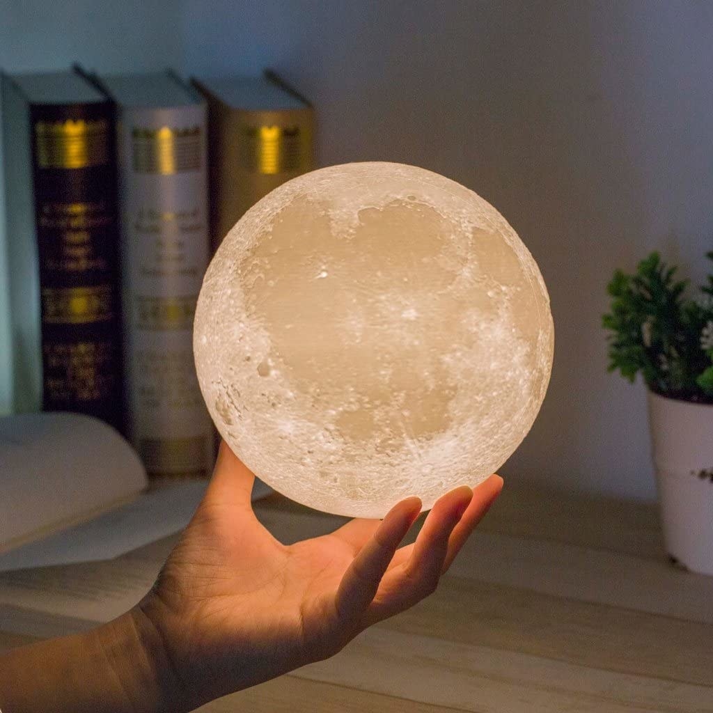 A person&#x27;s hand holding up a moon lamp in front of a book shelf