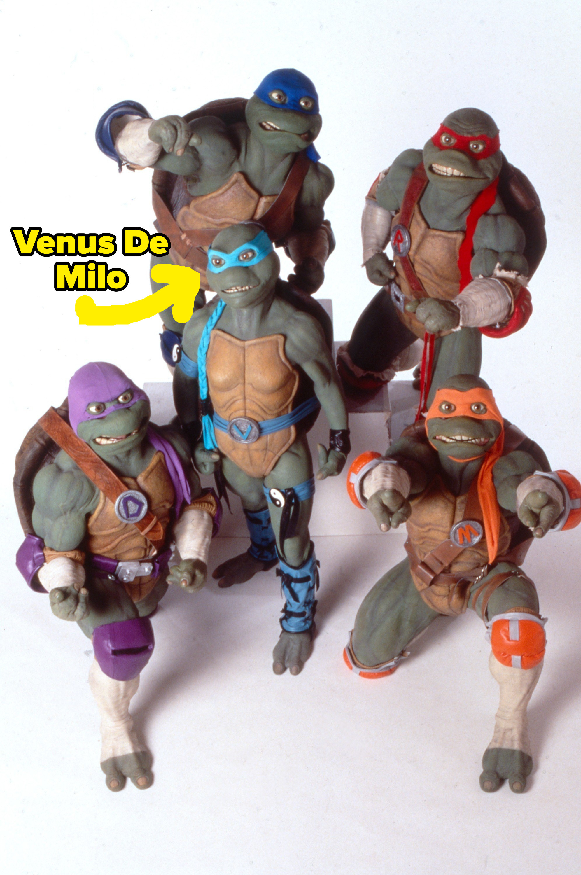 the 4 turtles along with Venus