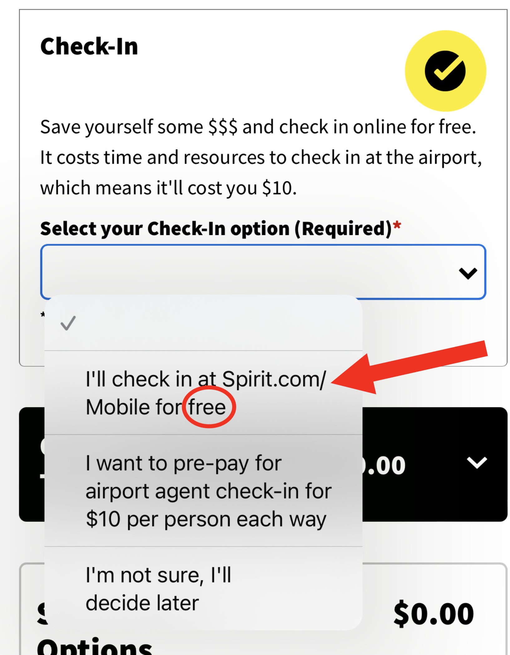 Spirit check in page